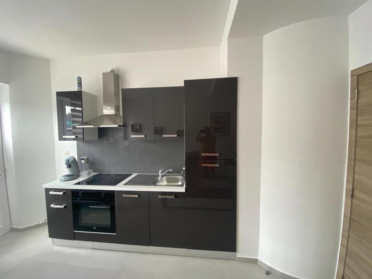 1-C Superbe Appartement Tres Calme Et Bien Decore シャルルロワ エクステリア 写真